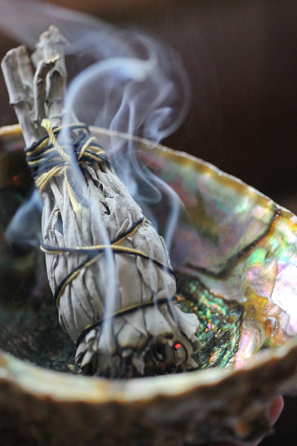 sage
